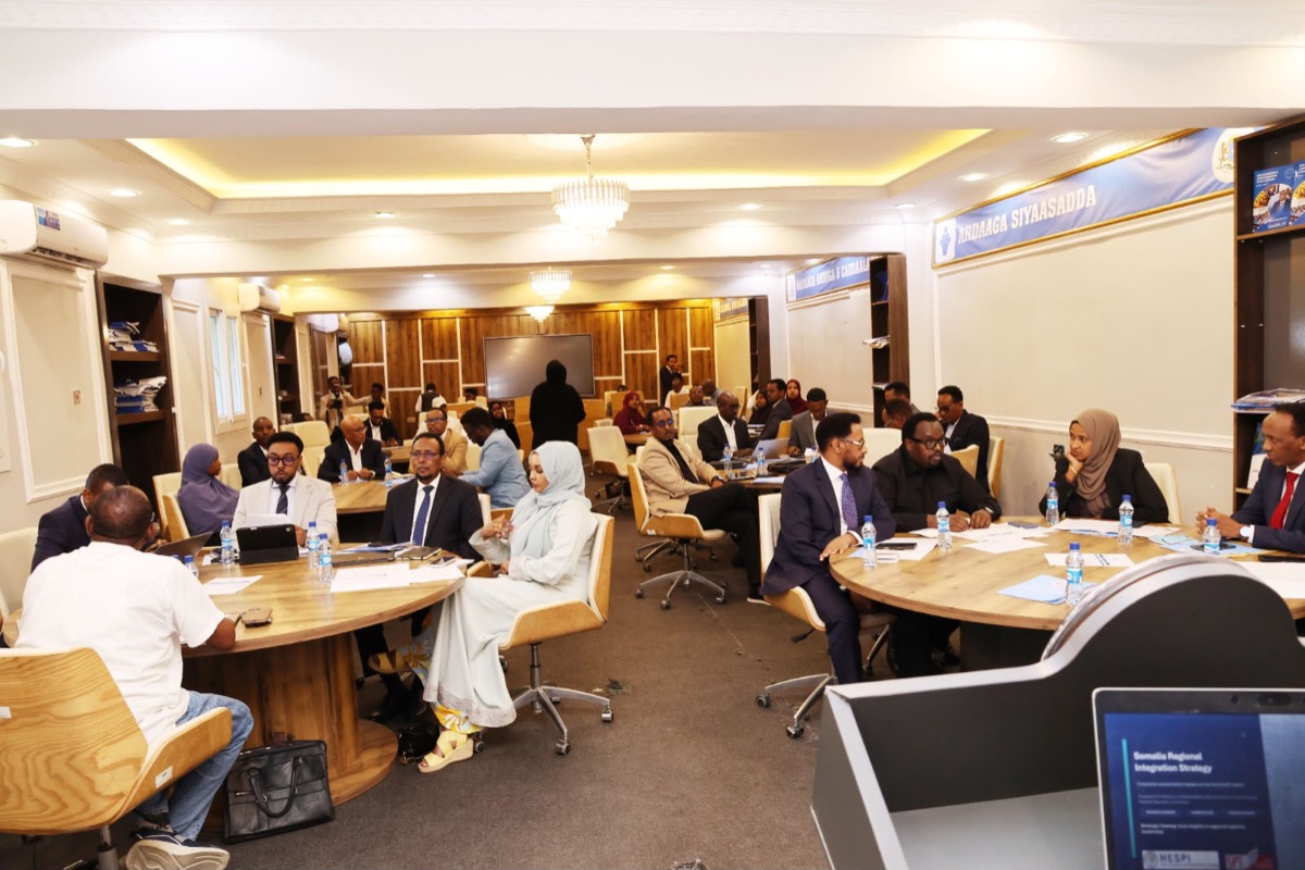 Delegates seated across the plenary room during the workshop