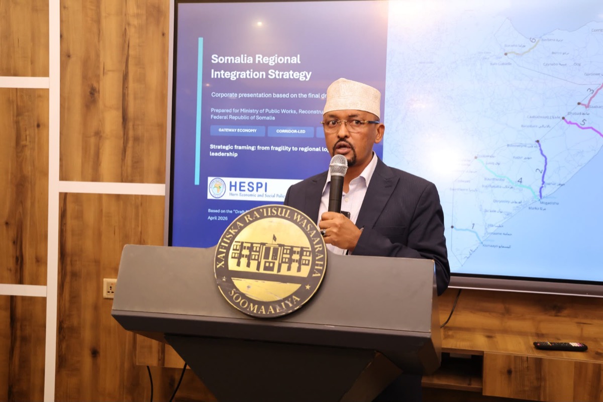 A speaker addressing the workshop from the podium, the draft strategy on screen behind